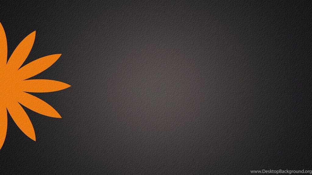 Gray Background, Orange Flower Wallpapers And Images Wallpapers ...