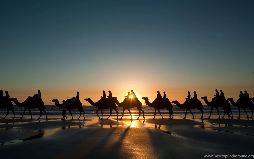 Red Sea Egypt Wallpapers And Images Wallpapers, Pictures, Photos
