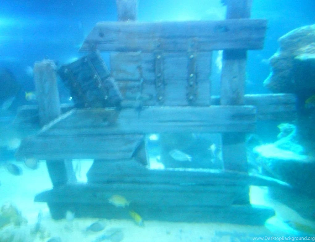 Top Undersea Background Images For Pinterest