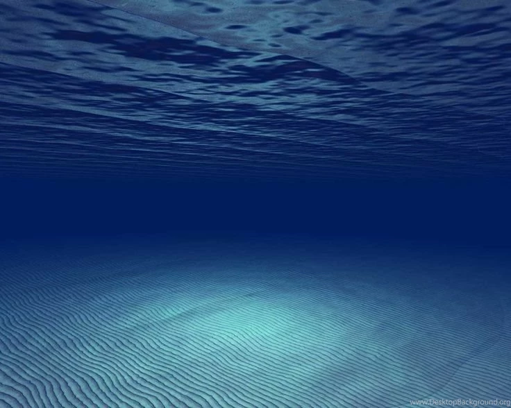 Undersea Ocean On Pinterest