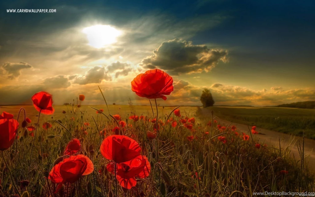 1080p Wallpapers New P Wallpapers Hd Wallpapers Pk [Your Popular ...