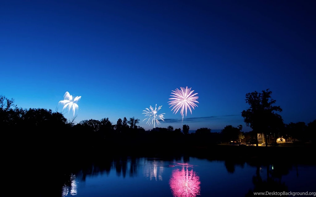 Landscapes Trees Fireworks Nighttime Wallpapers (