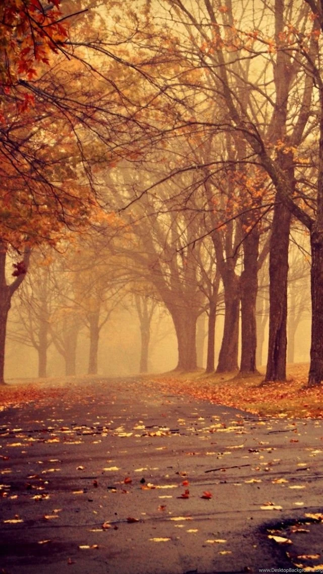 640x1136 Park In Autumn Iphone 5 Wallpapers