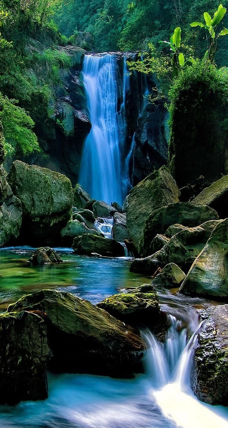 Nature iPhone 5s Wallpapers