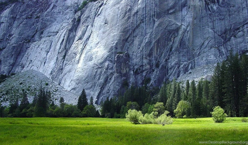 Landscape 1024x600 021110 1.jpg