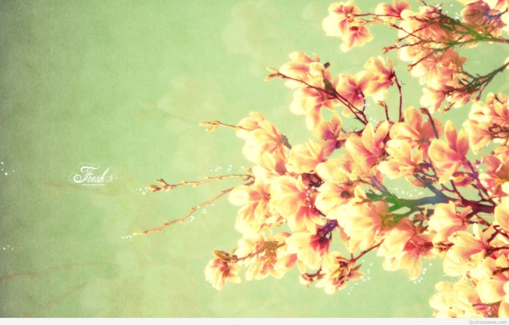 Spring Quotes Wallpapers And Spring Backgrounds Hd