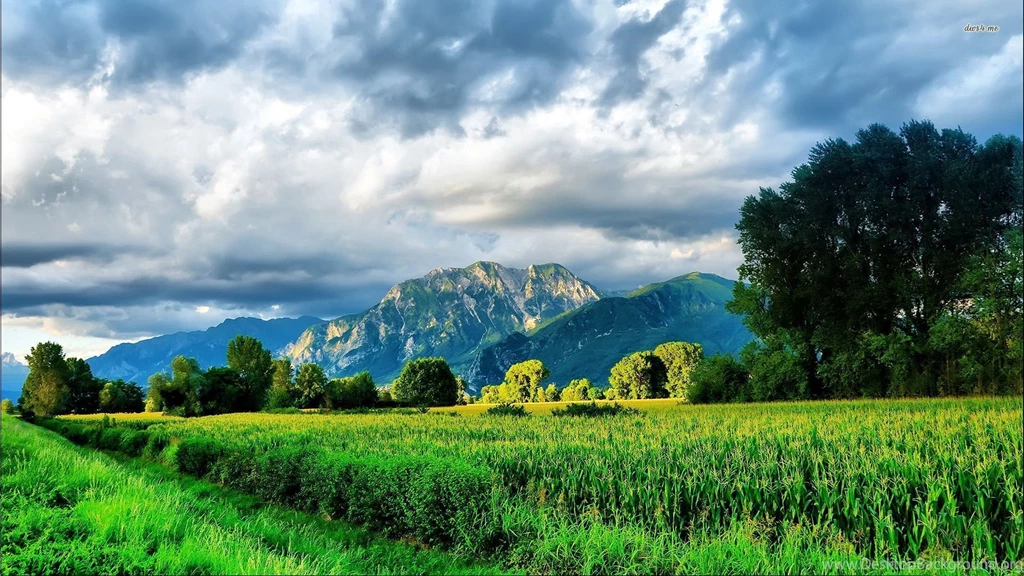Spring Landscape Wallpapers HD Resolution