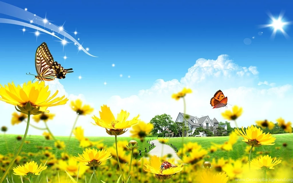 Beautiful Winter Cool Desktop Hd Wallpapers 4f3 Wallusd.xyz
