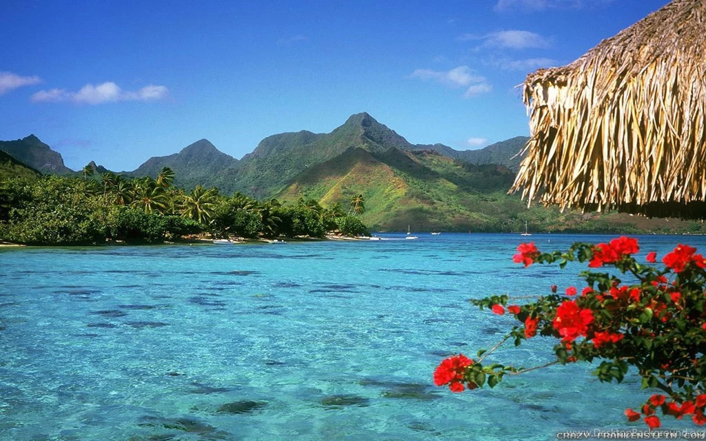 Bora Bora Wallpapers 2 Crazy Frankenstein