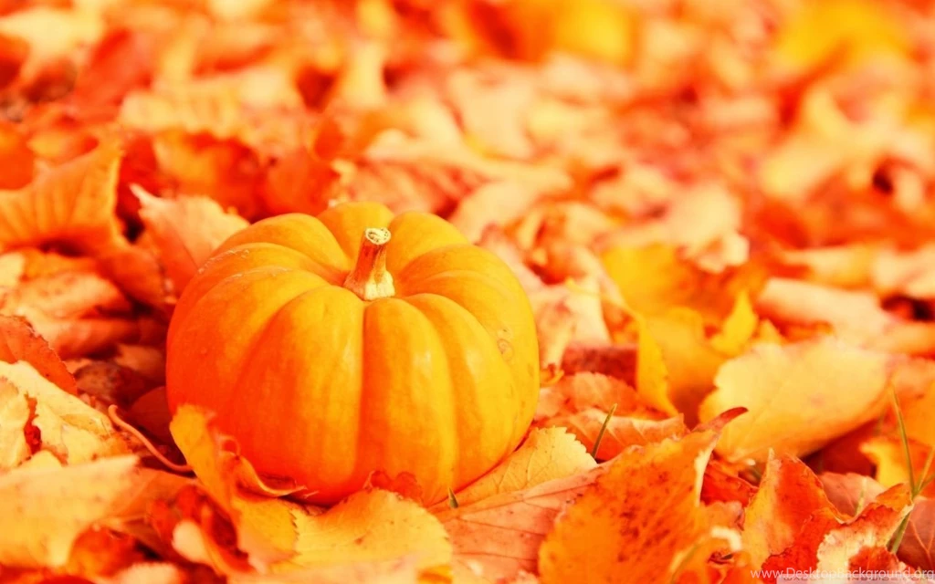 Pumpkin And Autumn Leaves HD Desktop Wallpapers : High Definition ...