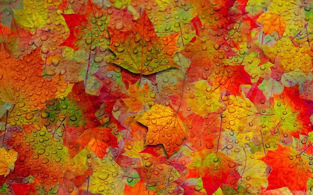 Fall Leaves Pattern Wallpaper.jpg