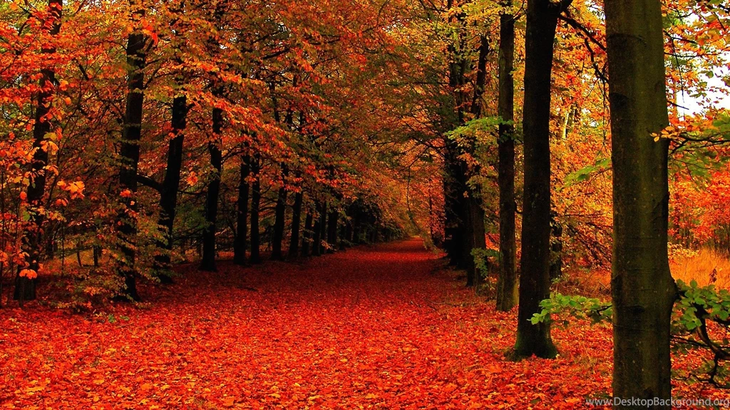 Autumn Wallpapers Archives Free Full Hd Wallpapers For 1080p ...