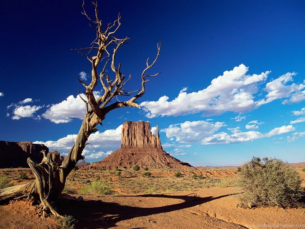 Arizona Wallpapers High Resolution
