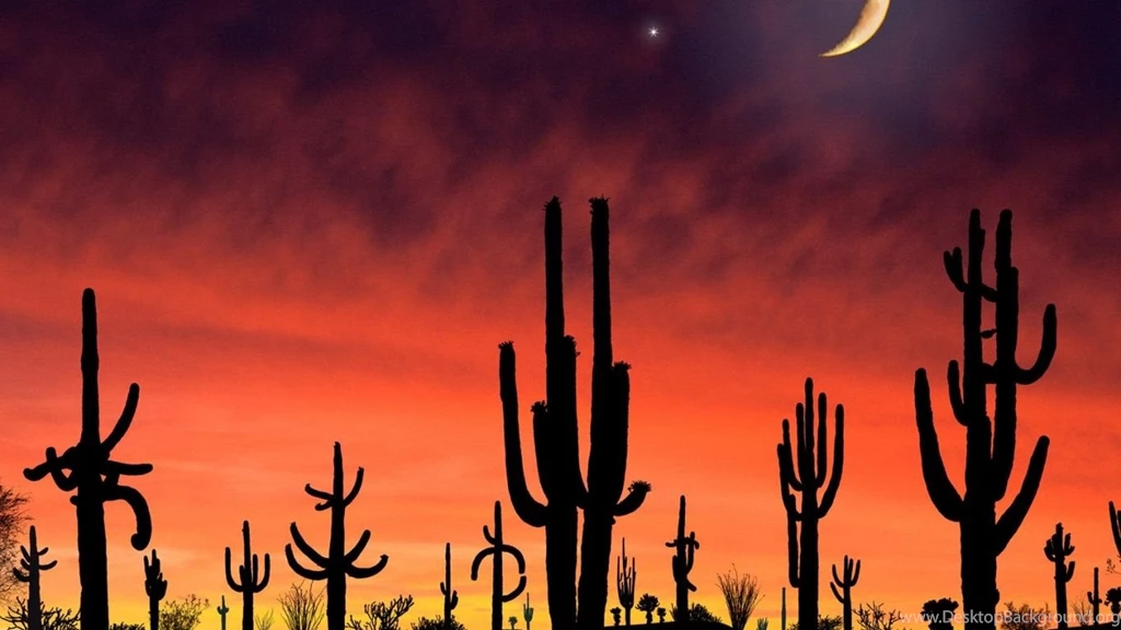 1366x768 Arizona Desktop PC And Mac Wallpapers