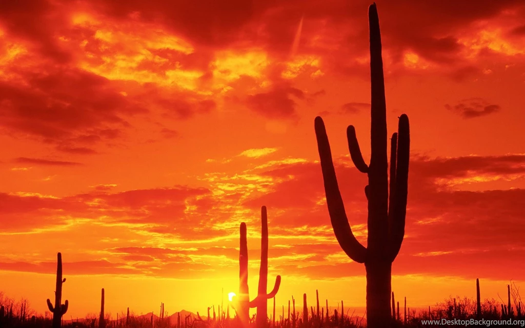 Ultra HD 4K Arizona Wallpapers HD, Desktop Backgrounds 3840x2400 ...