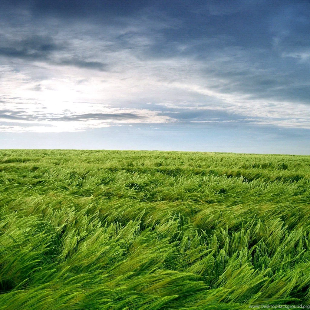 50 iPad Air Wallpapers In High Definition For Free Download
