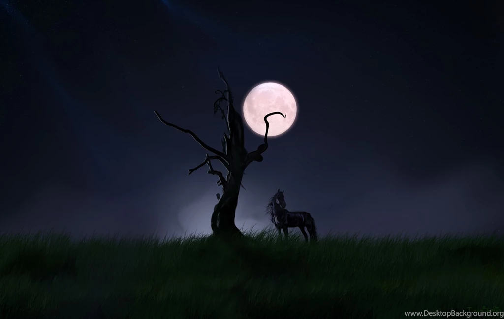 Black Night Photography Wallpaper Images 185