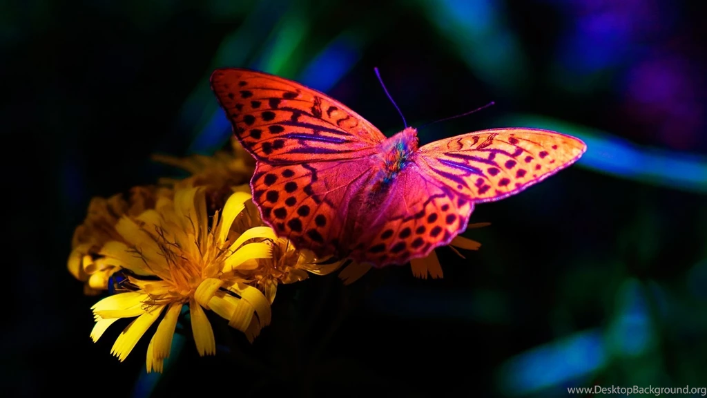 Free hd wallpaper for computer screen 3D.jpg