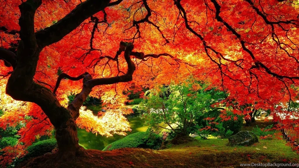 Quantotempootempotem: Desktop Backgrounds Wallpapers