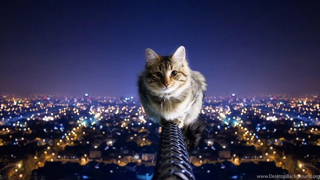 Extreme Wallpapers