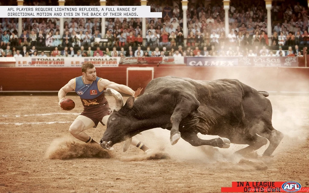 Extreme Sport Wallpapers