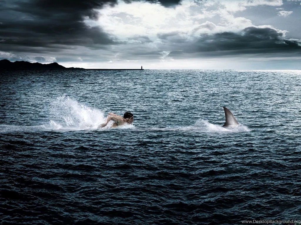 Extreme Swimming Wallpapers And Images Wallpapers, Pictures, Photos