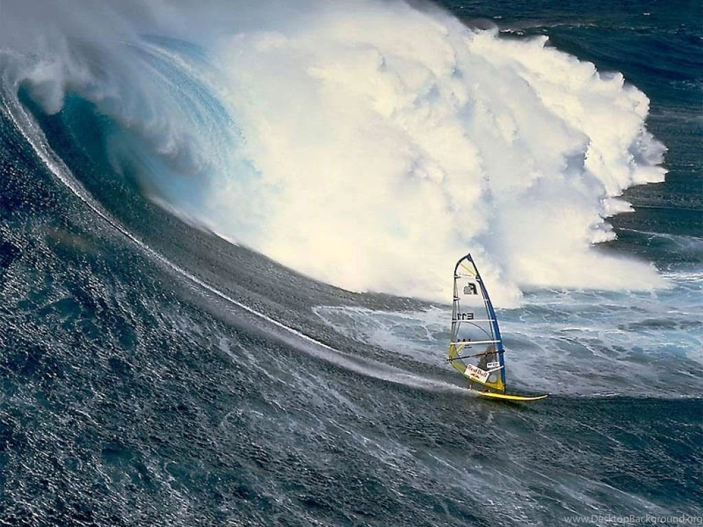 Wallpapers Sailing Katamaran Extreme 1024x768