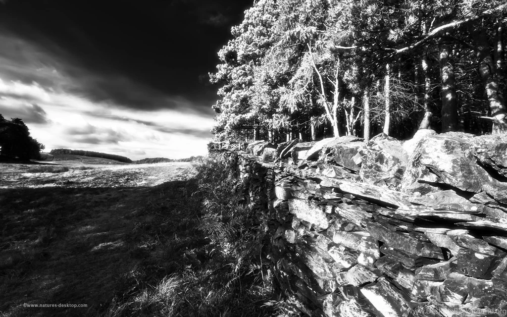 High Contrast Black And White Desktop Wallpapers