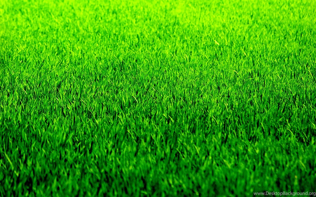 Lawn Grass Textures