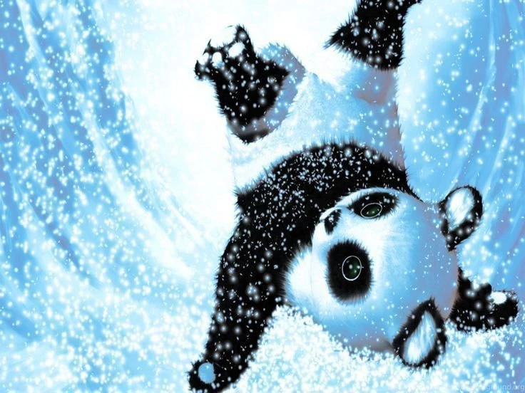 Pandas♥ On Pinterest