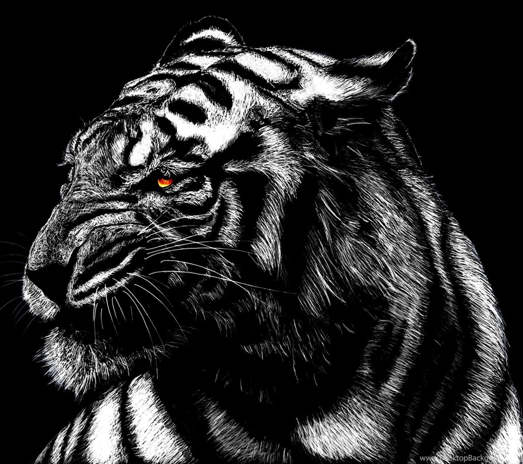 Tiger Male Animal Lion Snow Leopard Art Cat