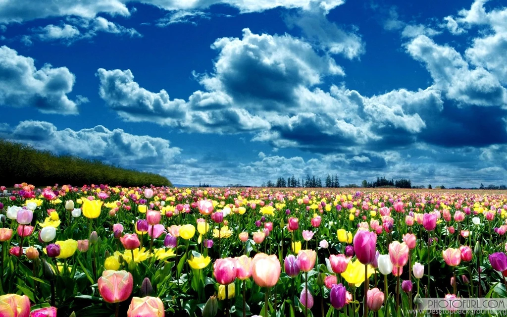 All About Italy: 50 Extremely Beautiful Wallpapers Noupe