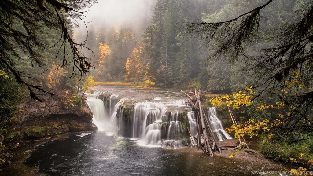 Download Wallpapers 1920x1080 Forest, River, Waterfall, Nature ...