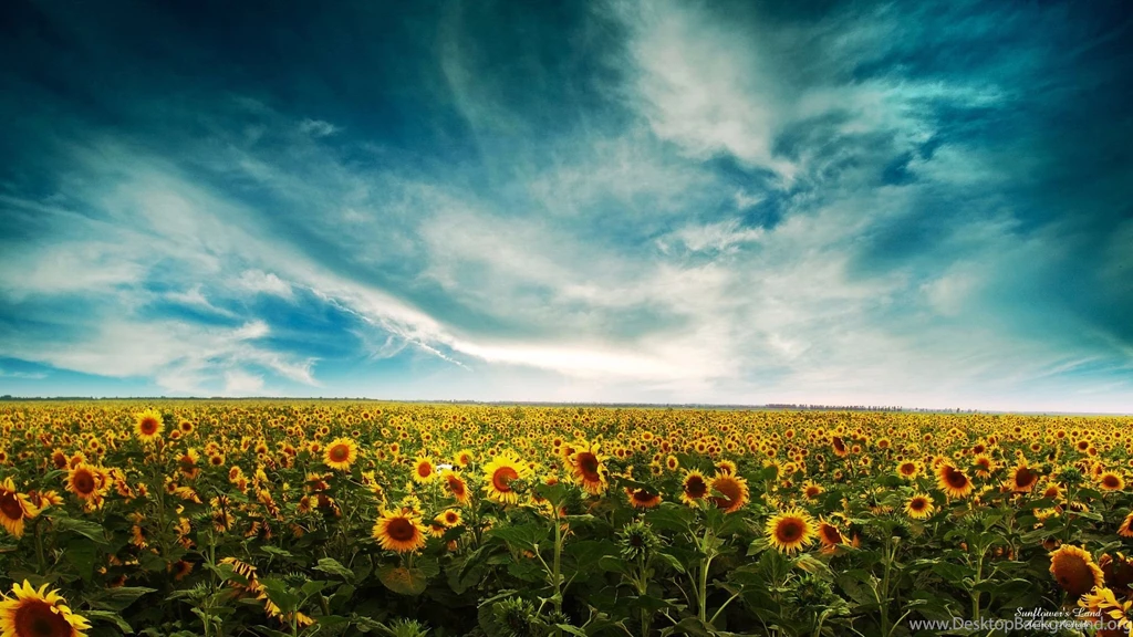 253 "Landscape" HD Wallpapers