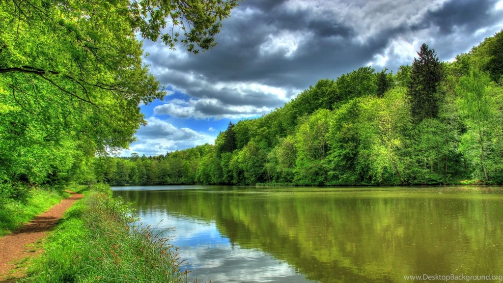 Download Wallpapers 1920x1080 River, Germany, Tropic Landscape ...