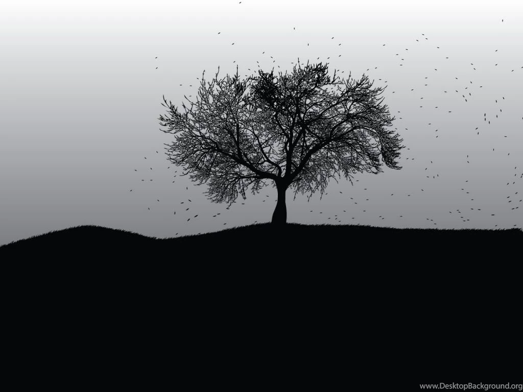 Black Wallpapers Wallpapers,3D & Abstract Wallpapers & Pictures ...