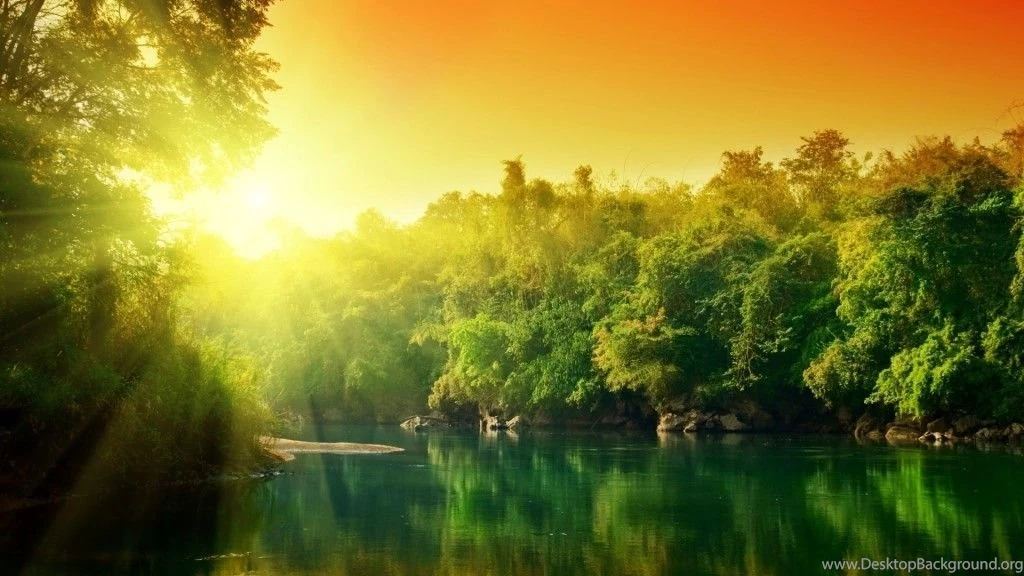 Bright sunshine nature wallpapers hd 1024x576.jpg