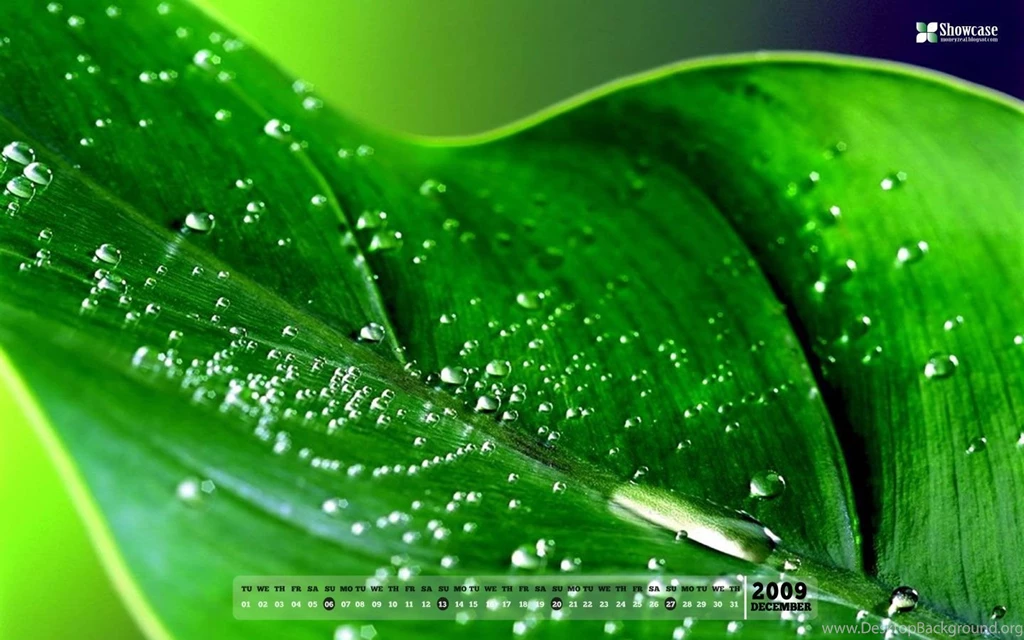 1440x900 Desktop Wallpapers
