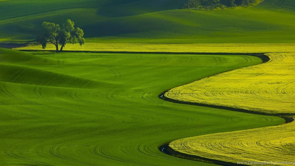 Landscape Green