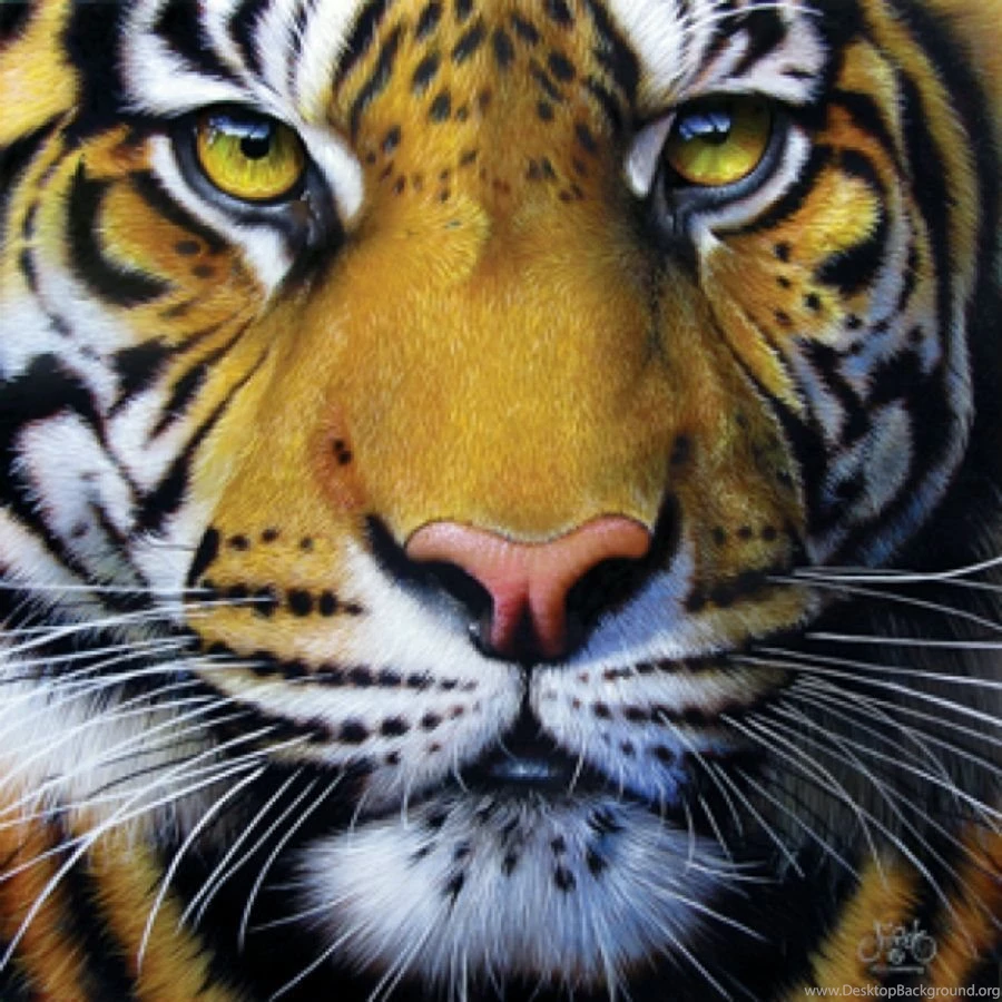 Free Download Face Tiger Art HD 4 47179 Cool Wallpapers HD (83880 ...