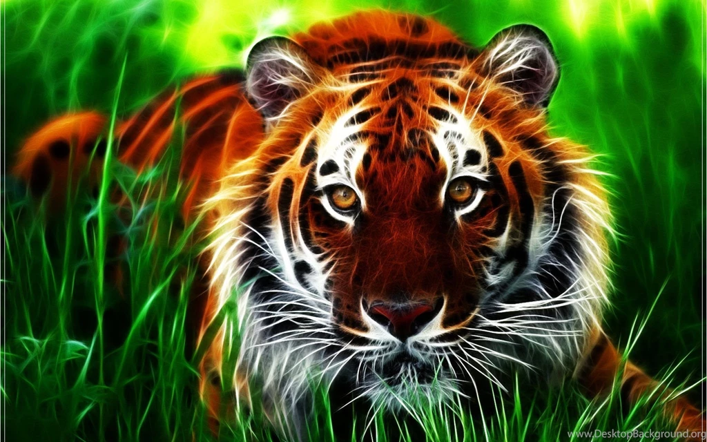 3D Tiger Face HD Wallpapers For Desktop Download High Quality