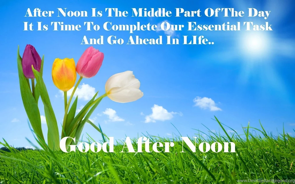 Good Afternoon Wallpapers Wallmanage.com
