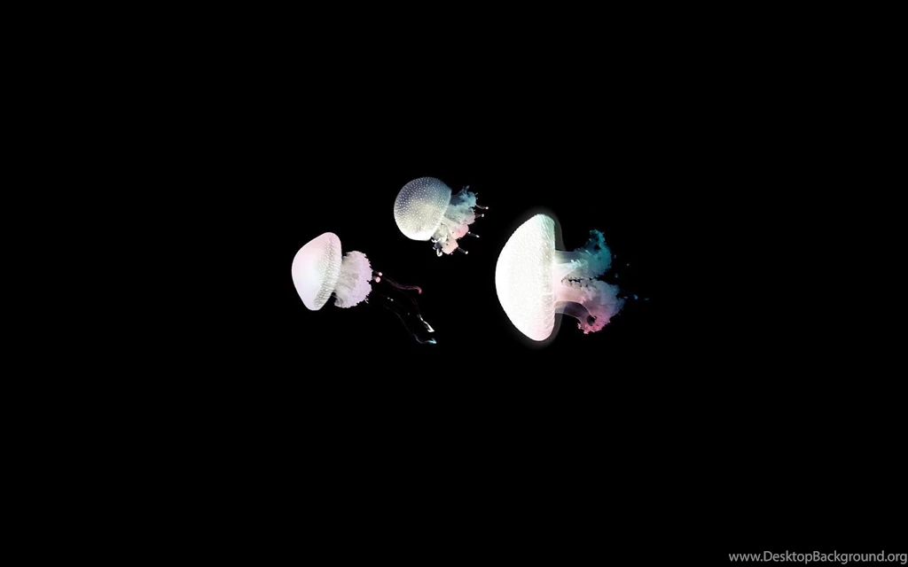 129 Jellyfish HD Wallpapers