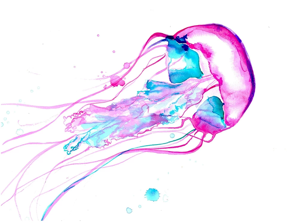 Jellyfish Underwater Ocean Sea Bokeh Jelly (30) Wallpapers ...