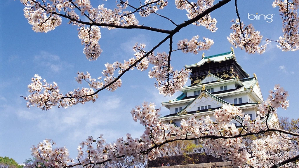 Download Wallpapers 1920x1080 Spring, Cherry, Blossom, Palace ...
