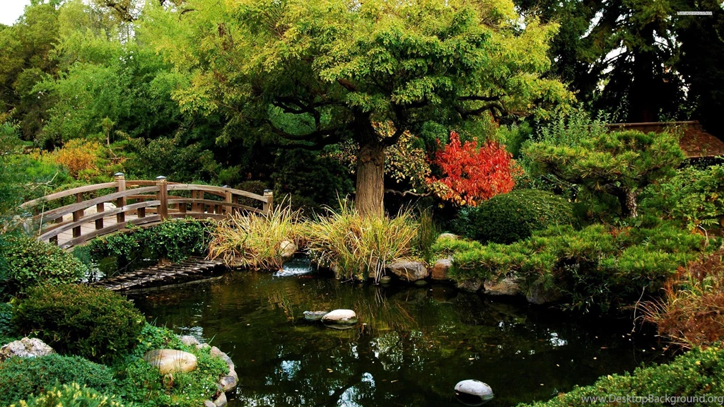 Splendid Japanese Garden Wallpapers