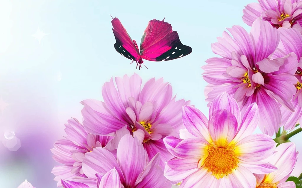30+ Flower Backgrounds