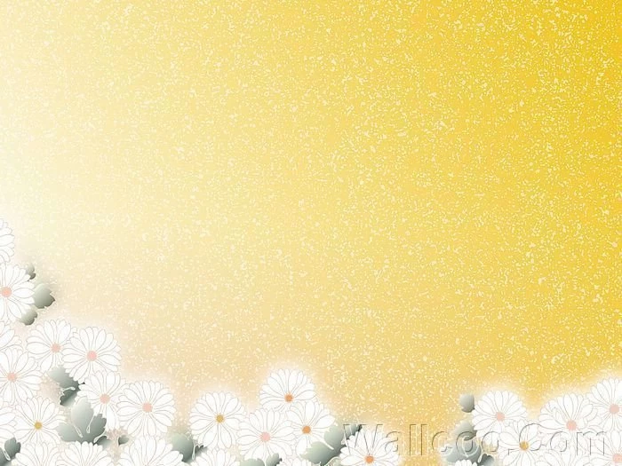 Graphic Flowers, HD Flower Patterns (1920+1600 ) 17 Wallcoo.net