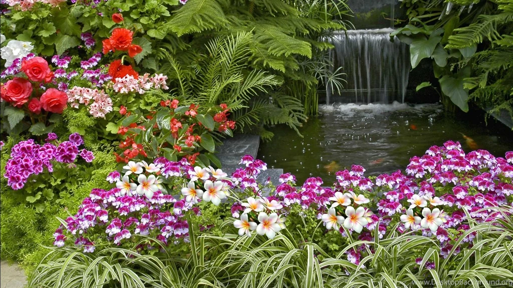Flower Garden HD Desktop Backgrounds