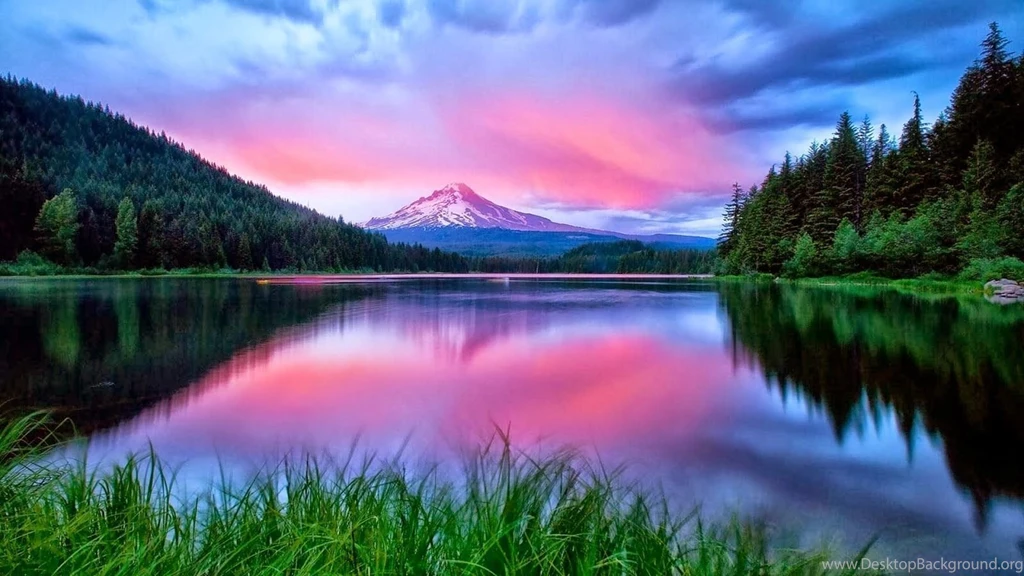 Free Nature Wallpapers Download_nature Wallpaper_download Free ...